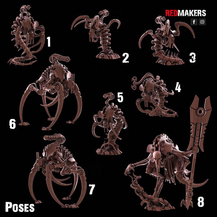 Kill Squad - Tomb World